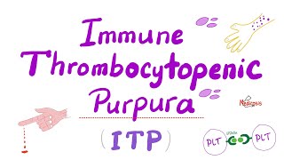 Immune Thrombocytopenia ITP — Most COMPREHENSIVE Explanation — Hematology [upl. by Wirth]