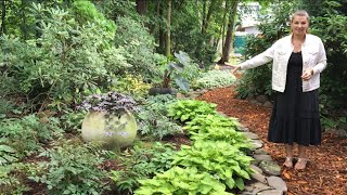 🌳 Garden Tour  Beautiful Shade Garden  Y Garden 🌳 [upl. by Campball]