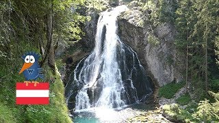 Gollinger Wasserfall  beliebtes Malermotiv und die Sage von der weissen Gams Salzburger Land [upl. by Nosned863]