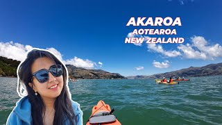 Akaroa Kayaking and Kaikōura Kahawai Catch and Cook [upl. by Phedra]