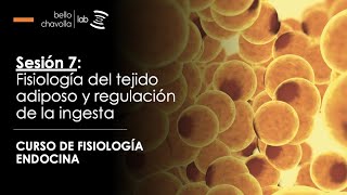 Fisiología del tejido adiposo y regulación de la ingesta [upl. by Anthea]