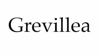 How to Pronounce Grevillea [upl. by Malkin]