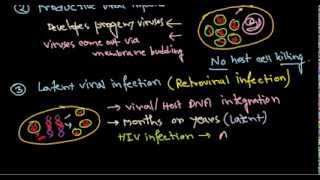 14 Effects of viral infection on host cell [upl. by Quitt422]