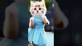 Cute cat song shorts cata catvideos [upl. by Dachi976]