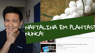 Devo usar Naftalina nas plantas JAMAIS [upl. by Eillas]