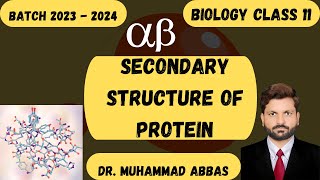 secondary structure of protein [upl. by Spear]