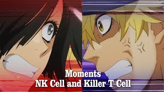 Killer T Cell and NK Cell【 Hataraku Saibou Episode 6  7 】 [upl. by Otilrac828]