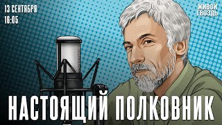 На Родину в машине времени Настоящий полковник  130924 [upl. by Aoniak330]