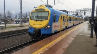 EN57AL1464 regio Tczew  Gdynia Chylonia wjeżdża na stację końcową 30122023 [upl. by Derfla]