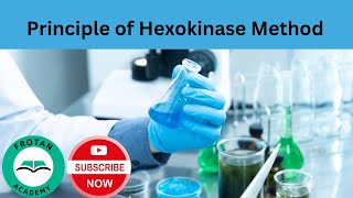 Principle of the Hexokinase Method shorts [upl. by Modern231]