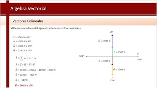 Vectores Colineales  Física [upl. by Aiuqet77]