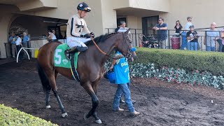 Bob Baffert Trained Filly Wins With Ease in Race 8 at Del Mar [upl. by An]