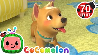 CoComelon  Bingo Learning Videos For Kids  Education Show For Toddlers [upl. by Yelssew]