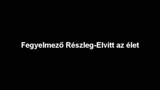 Fegyelmező Részleg  Elvitt az élet [upl. by Adnih]