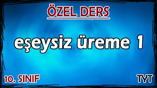 3 Eşeysiz Üreme 1  Özel Ders 10 Sınıf [upl. by Nauqyaj]