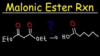 Malonic Ester Synthesis Reaction Mechanism [upl. by Leigha]