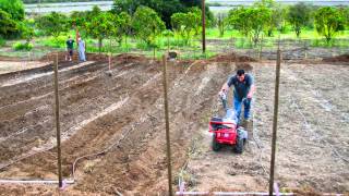 Saddleback Churchs Organic Farm in Orange County [upl. by Ayhtak634]