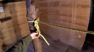 Daisy Chain Hitch  Arborist Knots Rigging [upl. by Ivan388]