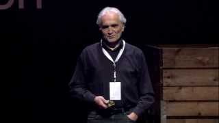 The promise of cointelligence Jan Bommerez at TEDxNijmegen 2013 [upl. by Dulcle]