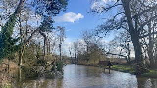 Pond at Doddington  Lincolnshire 🏴󠁧󠁢󠁥󠁮󠁧󠁿🇬🇧 [upl. by Nosliw731]