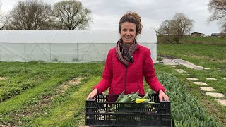 Manon s’épanouit dans sa ferme florale [upl. by Lavona]