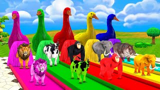 5 Giant Ducks Lion Cow Elephant Gorilla Hippo Guess The Right Door ESCAPE ROOM CHALLENGE Animal Game [upl. by Elly]