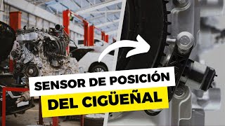 💥 SENSOR CKP  QUÉ ES UBICACIÓN FUNCIONAMIENTO Y FALLAS [upl. by Rodnas700]