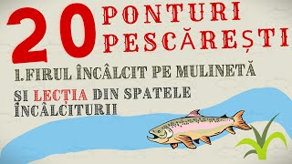 20 SFATURI ptr PESCUIT la spinning și nu numai [upl. by Aniretak]