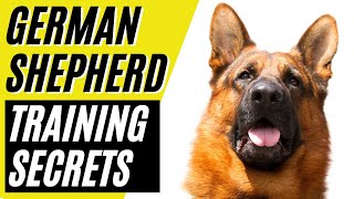 7 German Shepherd Training Secrets  GSD Training [upl. by Oek660]