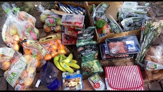 TOO MUCH FREE FOOD Food Waste In America  Dumpster Diving and Extreme Frugality [upl. by Jackson595]