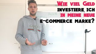 ECommerce Deutsch  Wie viel Geld investiere ich in meine neue E Commerce Marke [upl. by Ria92]