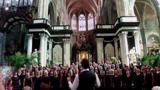 Cor y gleision St Bavos Cathedral Ghent [upl. by Toomin]