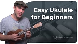 How to Play the Ukulele 4 Easy Chords amp Many Songs [upl. by Merrily482]