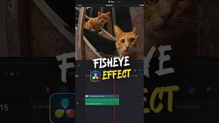 Fisheye effect in DaVinci Resolve videoediting tutorial rial [upl. by Leinad504]