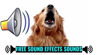 Dog Bark Sound Effect  DOG BARKING Sounds [upl. by Etep226]