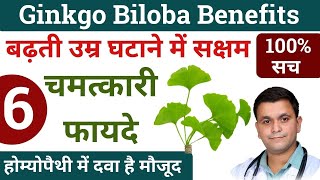 Ginkgo Biloba benefits Ginkgo biloba homeopathic medicine Ginkgo Biloba dosage RxHpathy [upl. by Ettenuj442]