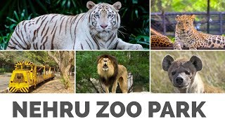 Nehru Zoological park  Animals  Zoo Park Hyderabad [upl. by Wiebmer]