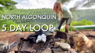 North Algonquin 5 Day Canoe Camping Loop Steak on The Coals Swimming with Our Dog [upl. by Keily]