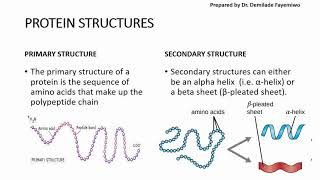 Chapter 23 Biological Molecules  Proteins [upl. by Richart472]