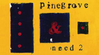 Pinegrove  Need 2 [upl. by Nahk340]