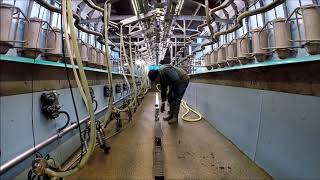 Milking parlour drain repairs [upl. by Acilegna]