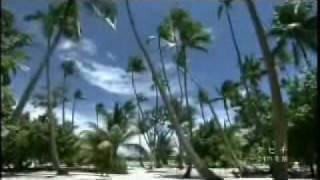 タハア島の紹介（TAHAA ISLANDFRENCH POLYNESIATAHITI [upl. by Atibat]