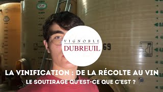 VINification d’un vin blanc 55  Le SOUTIRAGE [upl. by Keane]