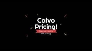 Calvo Pricing 1 Laying out the Preferences [upl. by Esinyt]