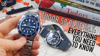 Tudor Pelagos 39mm vs Tudor Black Bay 58 [upl. by Essile615]