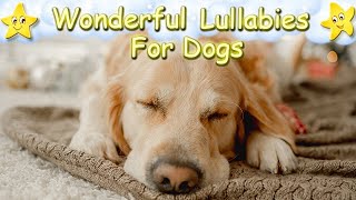 Relaxing Sleep Music For Your Dog And Puppy ♫ Calm Your Dog ♥ Lullaby For Pets [upl. by Lever]