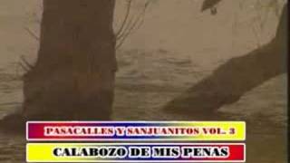 sanjuanito calabozo de mis penas musica ecuatoriana djrally73 [upl. by Ynabla51]