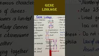 Gene linkage short biology [upl. by Kirven]