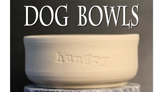 Dog Bowls [upl. by Rexfourd]