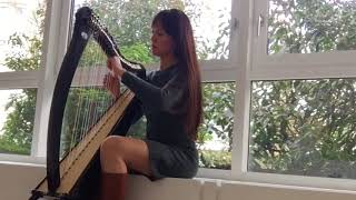 Greensleeves on Celtic Harp SHEET MUSIC AVAILABLE [upl. by Noelani]